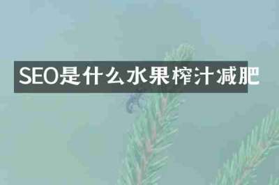 SEO是什么水果榨汁减肥