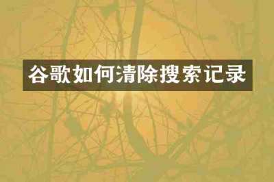 谷歌如何清除搜索记录