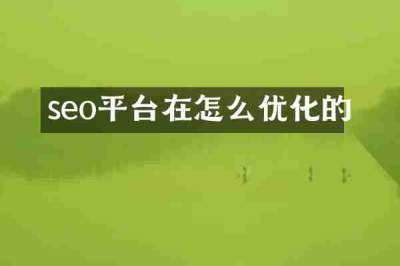 seo平台在怎么优化的