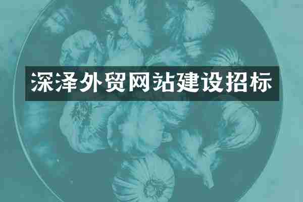 深泽外贸网站建设招标