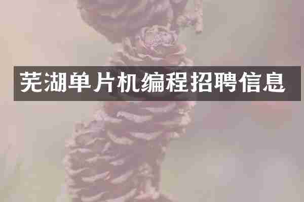 芜湖单片机编程招聘信息