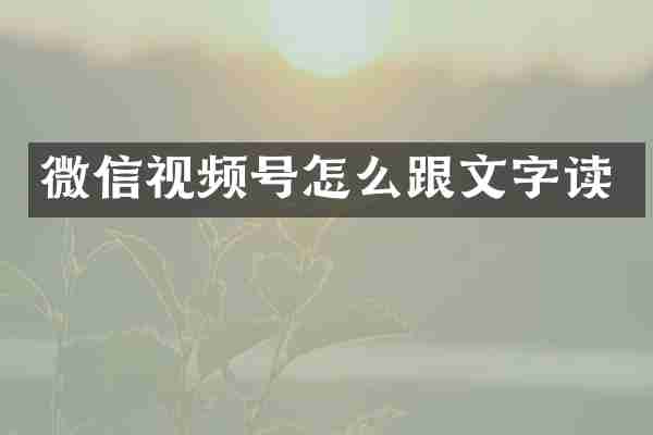 微信视频号怎么跟文字读