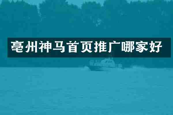 亳州神马首页推广哪家好