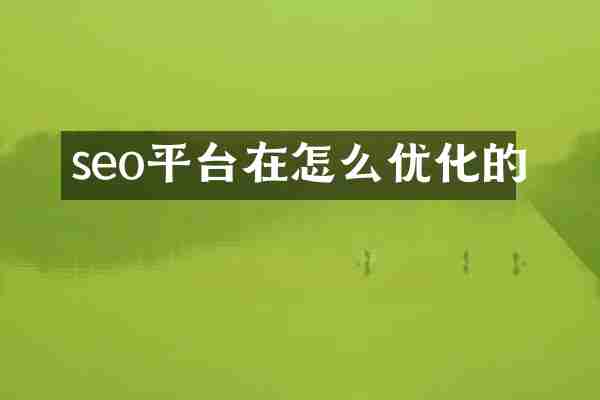 seo平台在怎么优化的