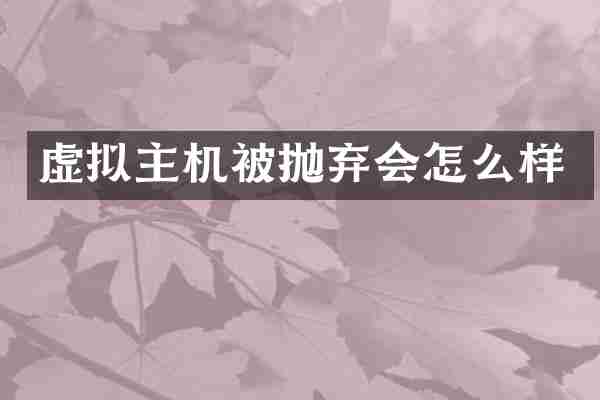 虚拟主机被抛弃会怎么样