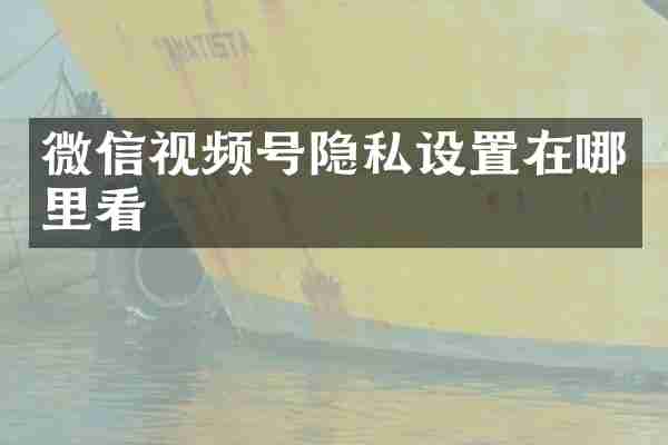 微信视频号隐私设置在哪里看