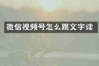 微信视频号怎么跟文字读
