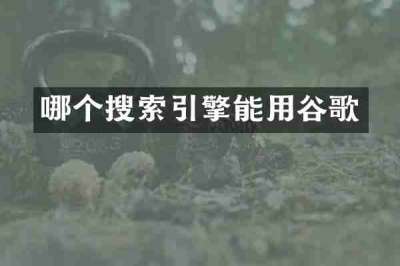 哪个搜索引擎能用谷歌