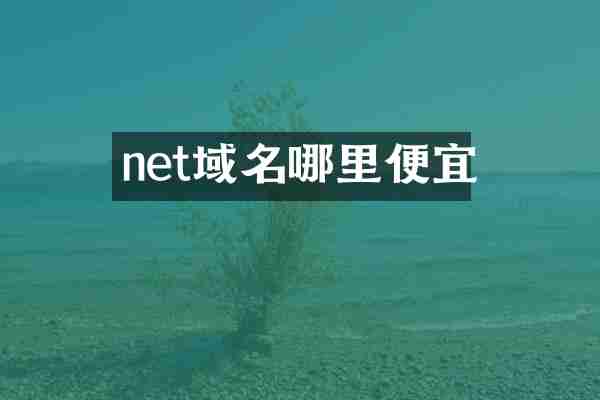 net域名哪里便宜