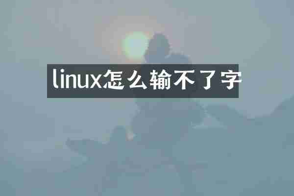 linux怎么输不了字