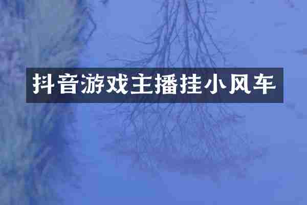 抖音游戏主播挂小风车