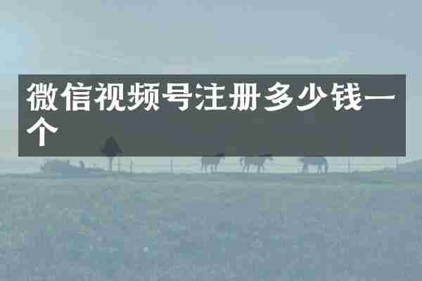 微信视频号注册多少钱一个