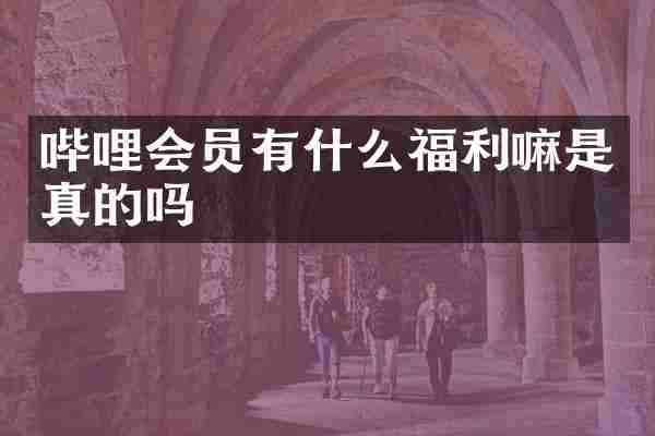 哔哩会员有什么福利嘛是真的吗