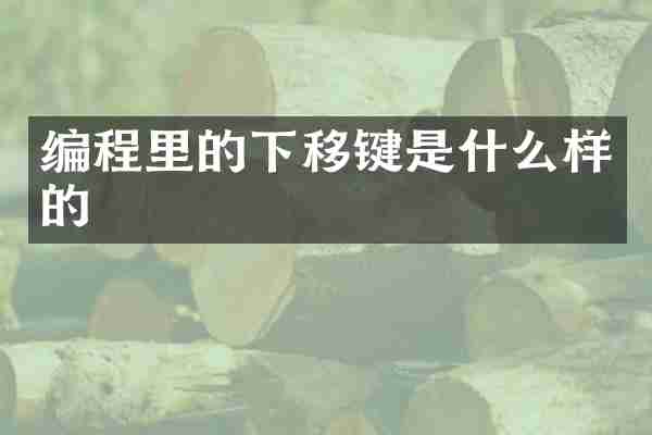 编程里的下移键是什么样的