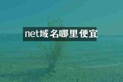 net域名哪里便宜