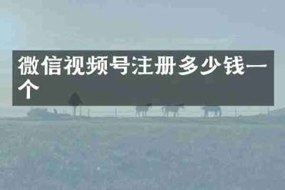 微信视频号注册多少钱一个