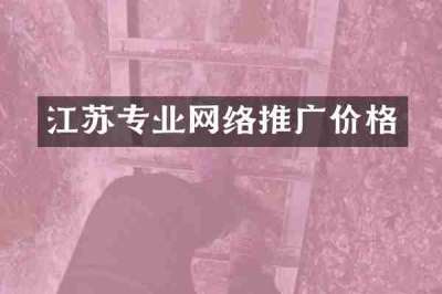 江苏专业网络推广价格