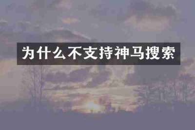 为什么不支持神马搜索