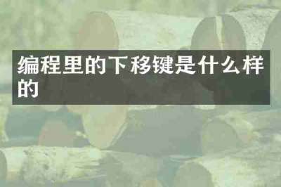 编程里的下移键是什么样的
