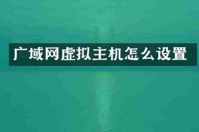 广域网虚拟主机怎么设置