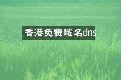 香港免费域名dns