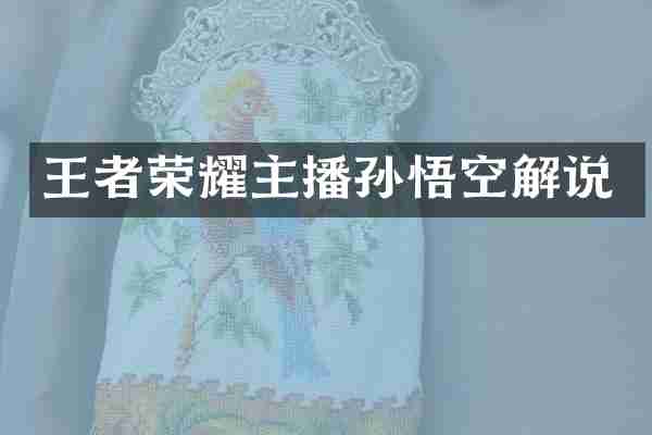 王者荣耀主播孙悟空解说