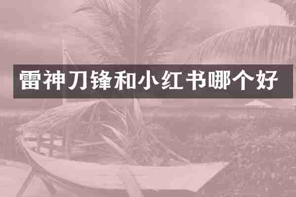 雷神刀锋和小红书哪个好