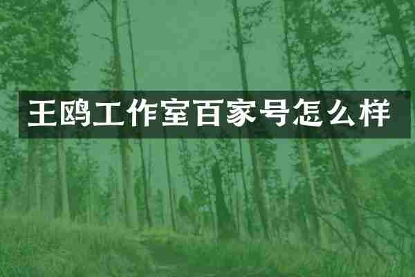 王鸥工作室百家号怎么样