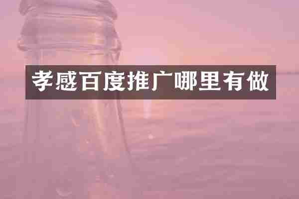 孝感百度推广哪里有做