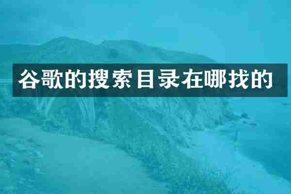 谷歌的搜索目录在哪找的