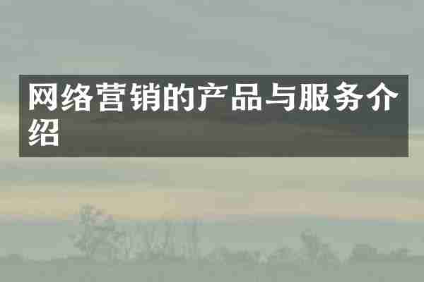 网络营销的产品与服务介绍
