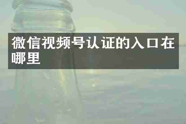 微信视频号认证的入口在哪里