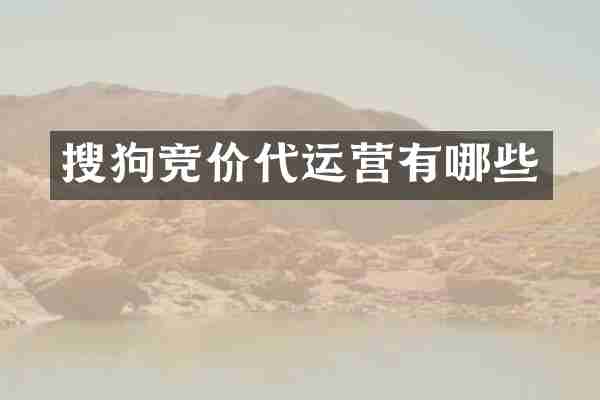 搜狗竞价有哪些