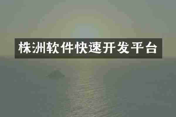 株洲软件快速开发平台