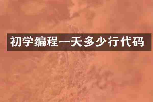 初学编程一天多少行代码