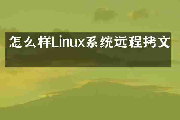 怎么样Linux系统远程拷文件