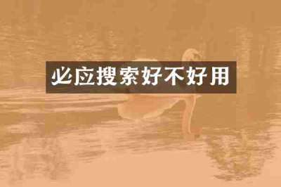 必应搜索好不好用