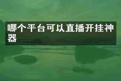 哪个平台可以直播开挂神器