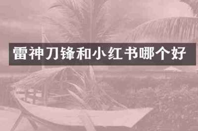 雷神刀锋和小红书哪个好