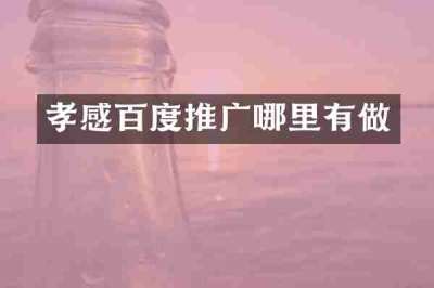 孝感百度推广哪里有做