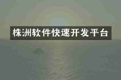 株洲软件快速开发平台
