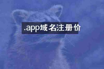.app域名注册价