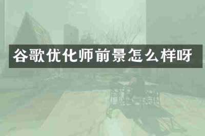 谷歌优化师前景怎么样呀