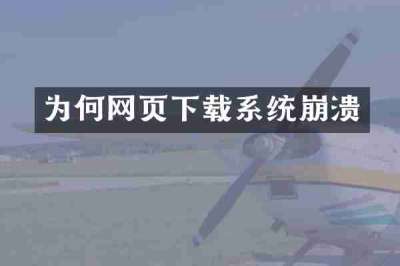 为何网页下载系统崩溃