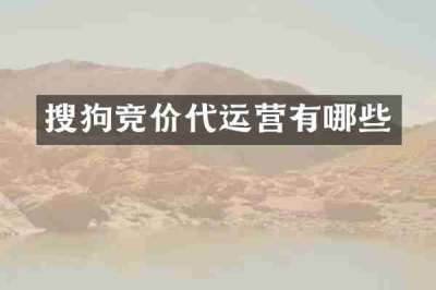 搜狗竞价代运营有哪些