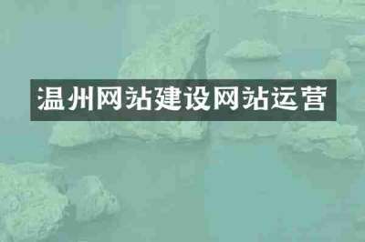温州网站建设网站运营