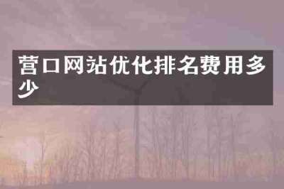营口网站优化排名费用多少