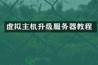 虚拟主机升级服务器教程