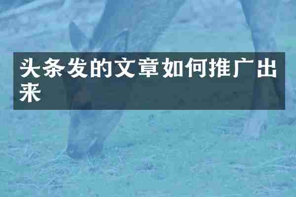 头条发的文章如何推广出来