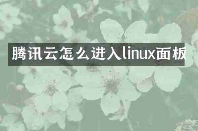腾讯云怎么进入linux面板
